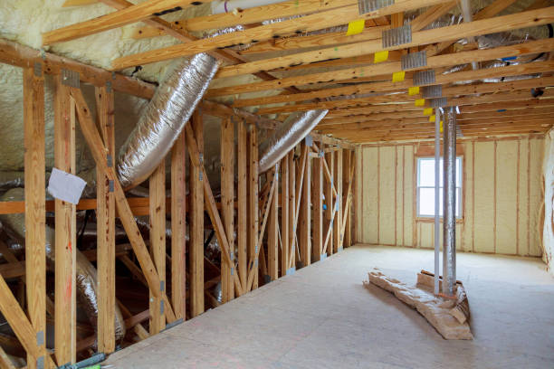 Best Insulation Removal  in Bellmawr, NJ